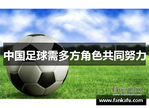 中国足球需多方角色共同努力